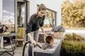 Karcher WD 3 V-17/4/20 Nat- en Droogzuiger — afbeelding 5