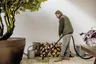 Karcher WD 3 V-17/4/20 Nat- en Droogzuiger — afbeelding 6