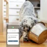 iRobot Roomba Combo j9+ Auto-Fill Robot Vacuum and Mop — image 3